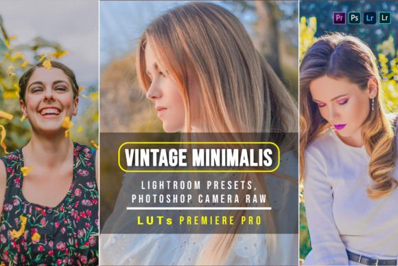 Download 10 Vintage Minimalist Presets and Luts - Minimalist presets Collection