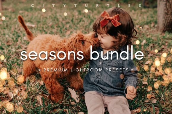 Download SEASONS BUNDLE Lightroom Presets - Bundle lightroom Collection